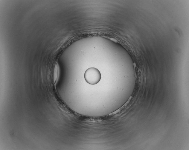 X0000112070712200908251042