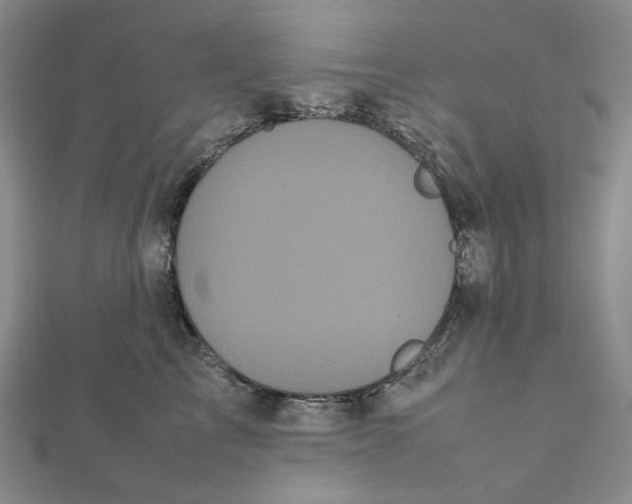 X0000112070713200908251042