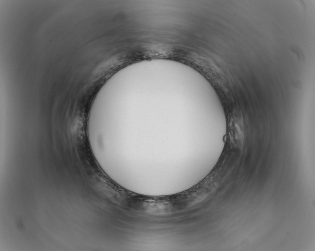 X0000112070714200908251042