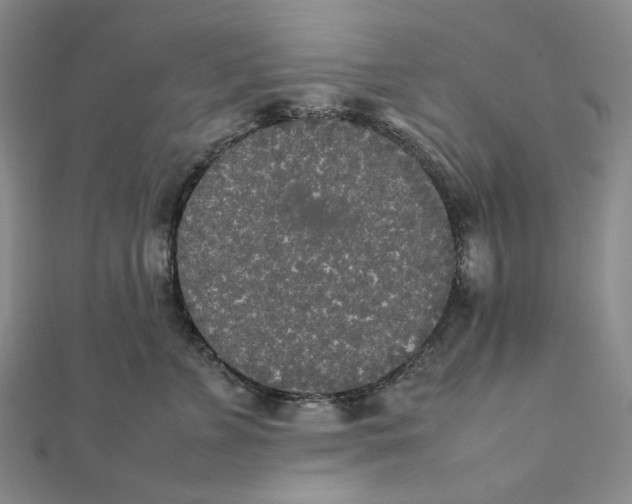 X0000112070715200908251042