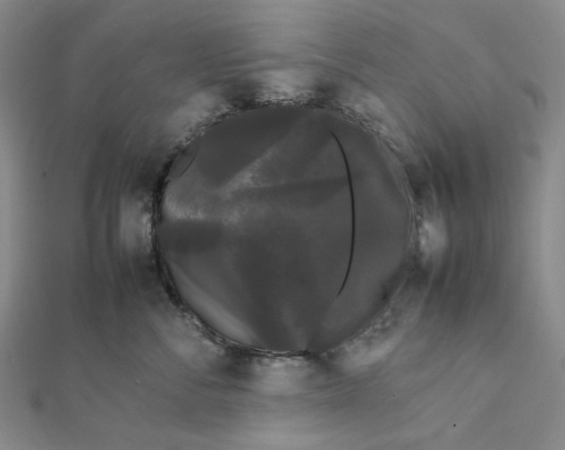 X0000112070716200908251042