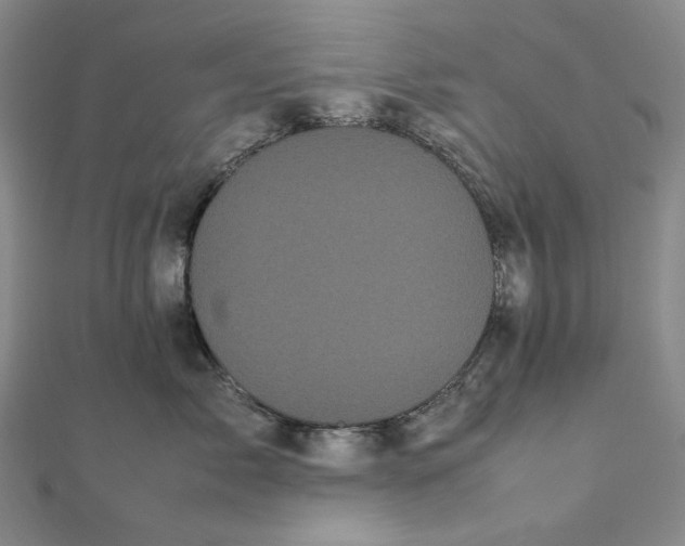 X0000112070717200908251042