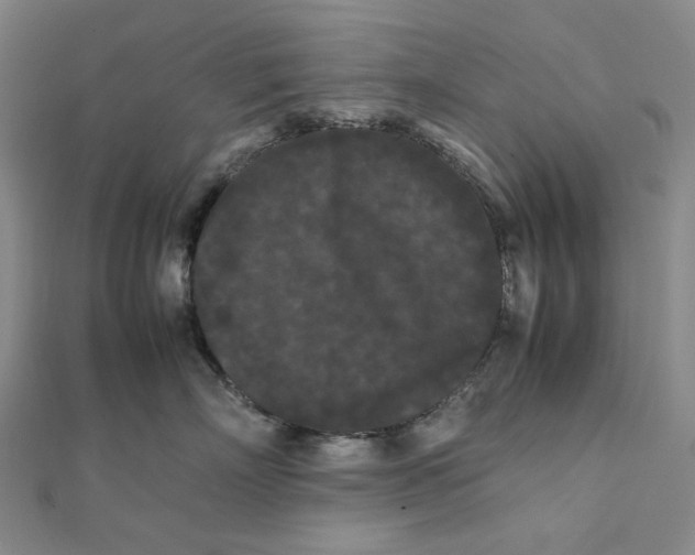 X0000112070718200908251042