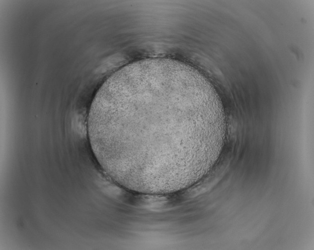X0000112070719200908251042