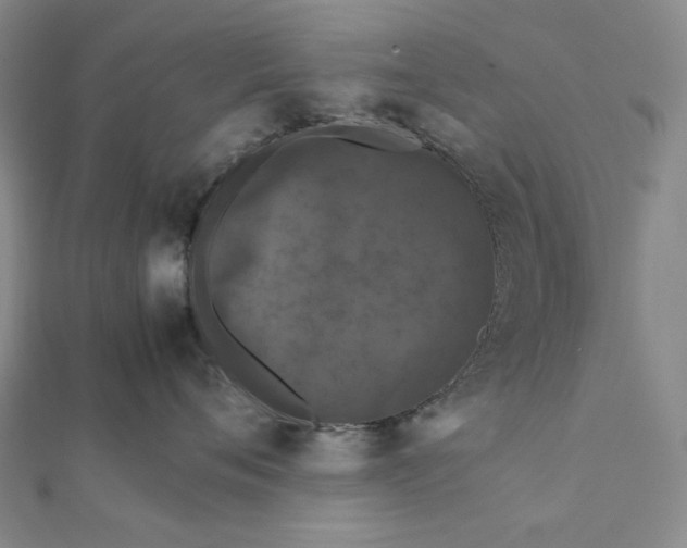 X0000112070720200908251042