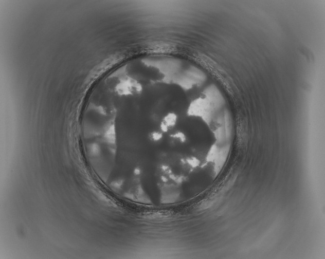 X0000112070721200908251041