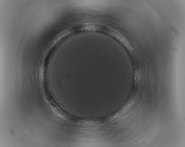 X0000112070722200908251041