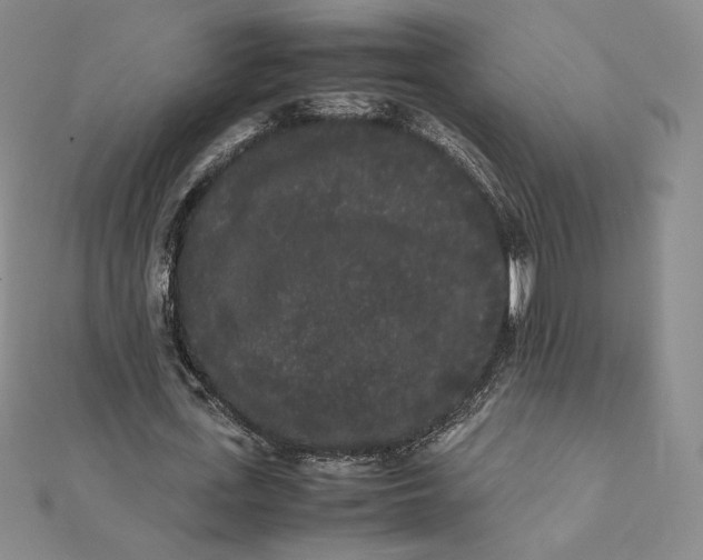 X0000112070723200908251041