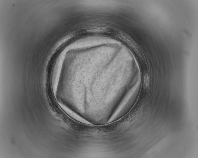X0000112070724200908251041