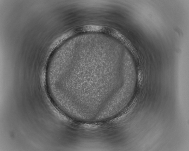 X0000112070725200908251042