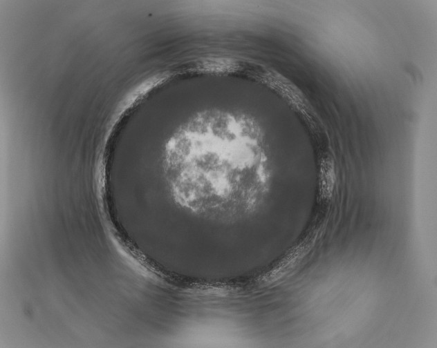 X0000112070726200908251042