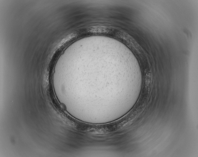 X0000112070727200908251042