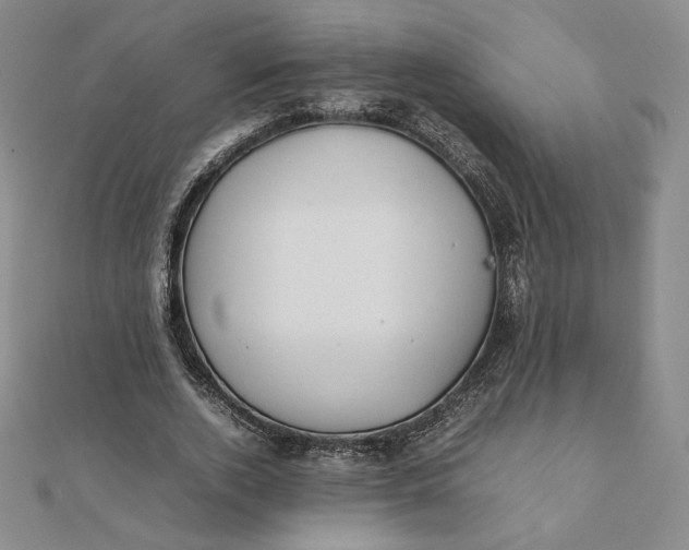 X0000112070728200908251042