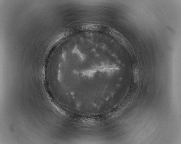 X0000112070729200908251042