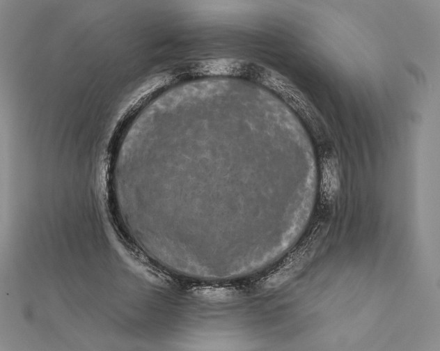 X0000112070730200908251042