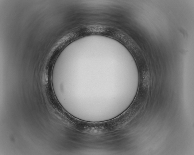 X0000112070731200908251042
