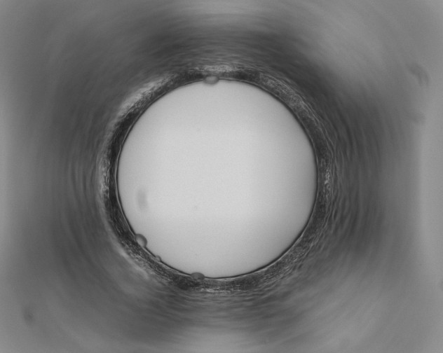 X0000112070732200908251042