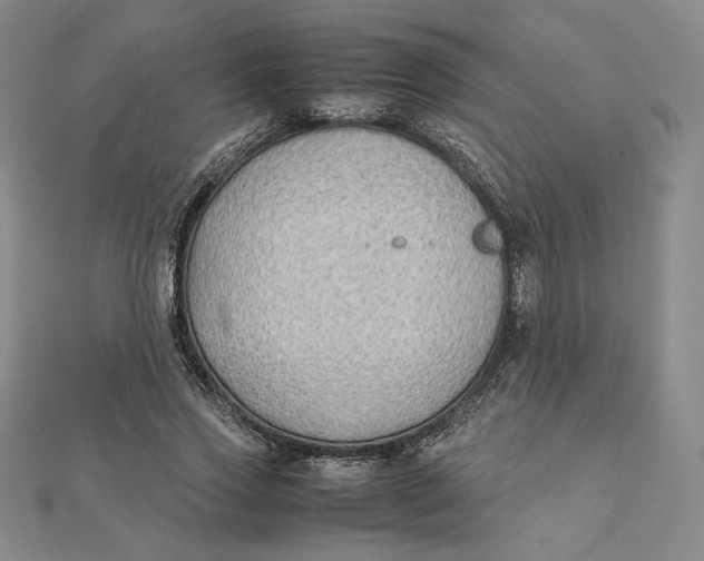 X0000112070733200908251042