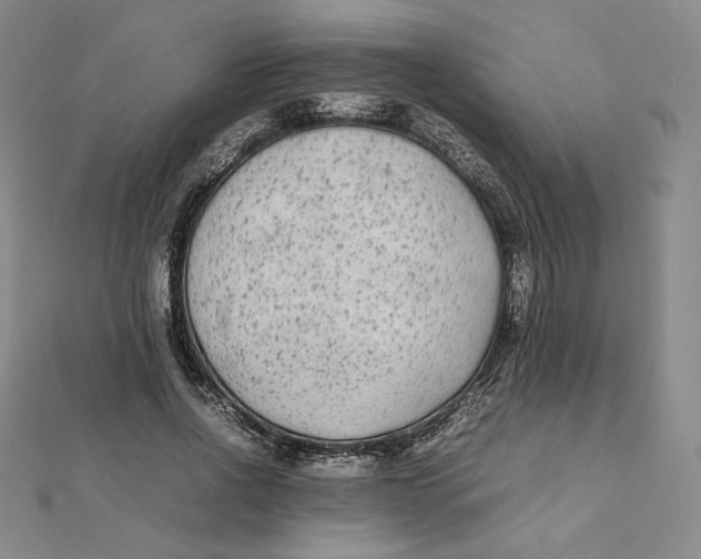 X0000112070734200908251042
