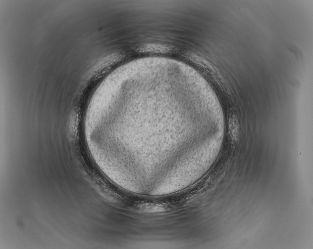 X0000112070735200908251042