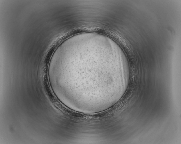 X0000112070736200908251042