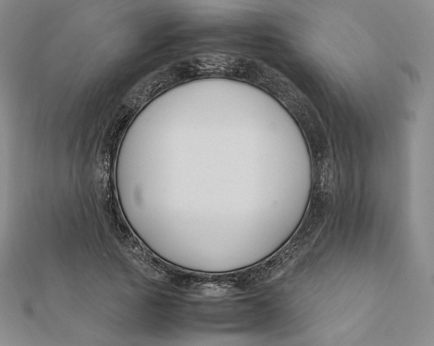 X0000112070737200908251042