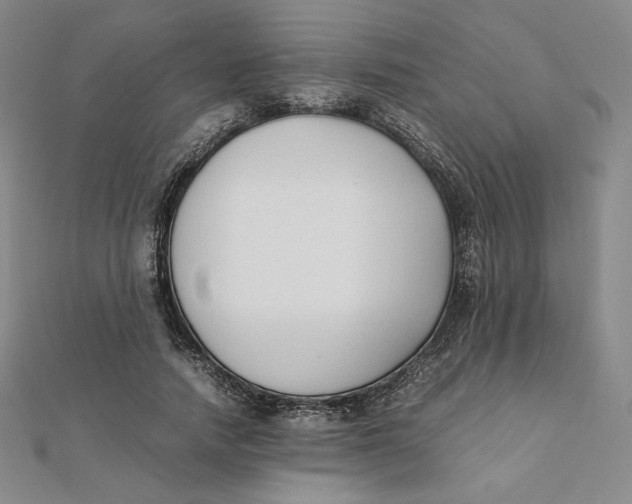 X0000112070738200908251042