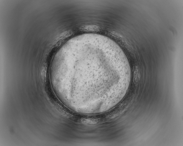 X0000112070739200908251042