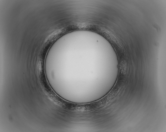 X0000112070740200908251042