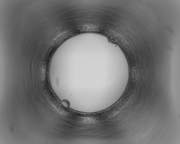 X0000112070741200908251042