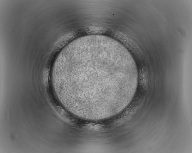 X0000112070742200908251042