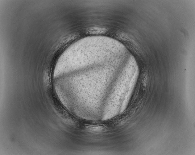 X0000112070743200908251042