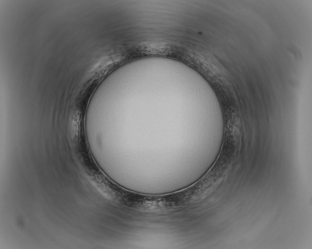 X0000112070744200908251042