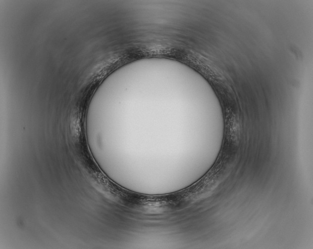 X0000112070746200908251042