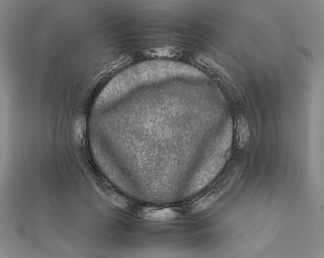 X0000112070747200908251042