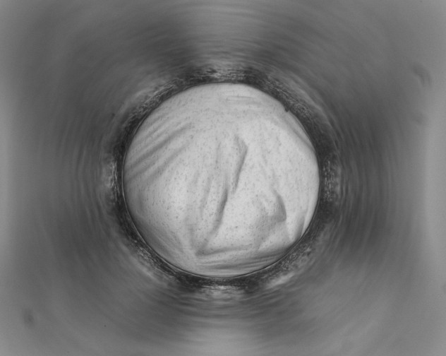 X0000112070748200908251042