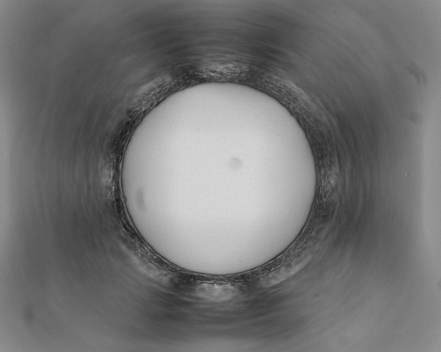 X0000112070749200908251042