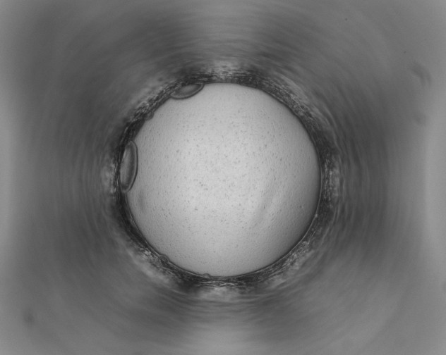 X0000112070750200908251042
