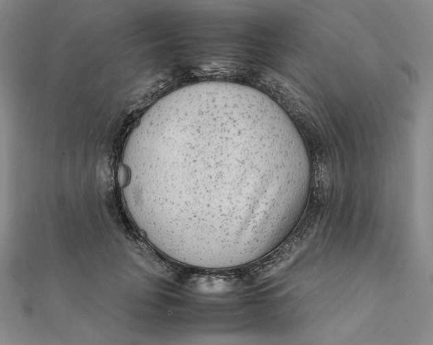 X0000112070751200908251042