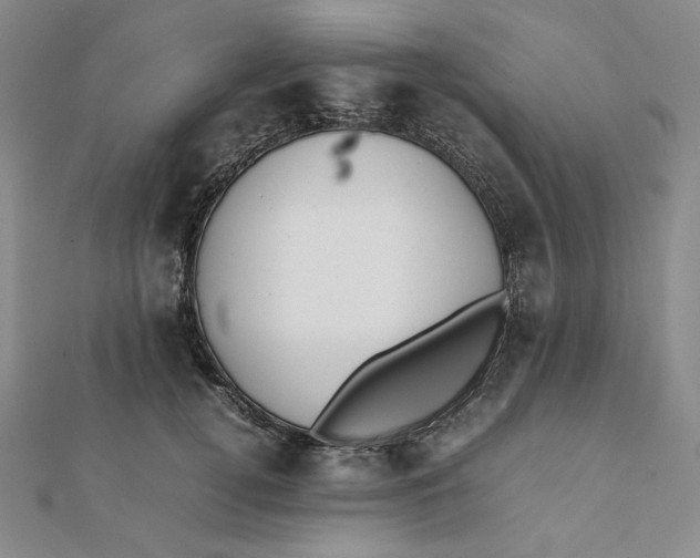 X0000112070752200908251042
