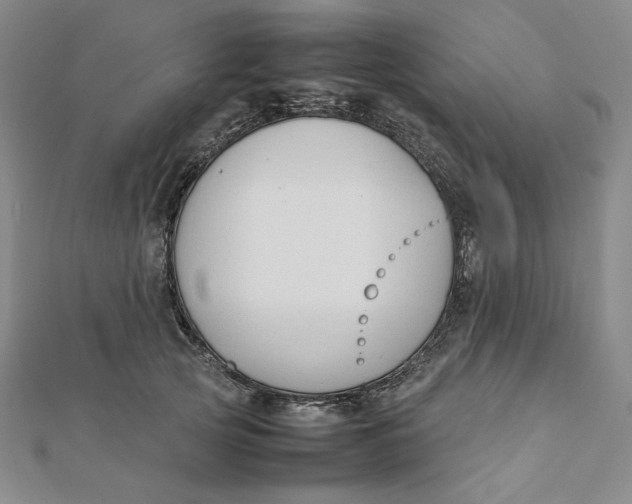 X0000112070753200908251042