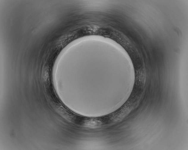 X0000112070754200908251042
