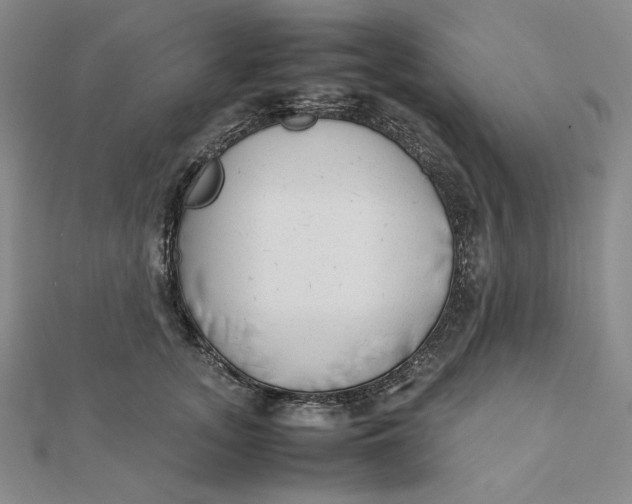 X0000112070755200908251042