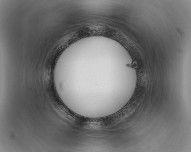 X0000112070756200908251042