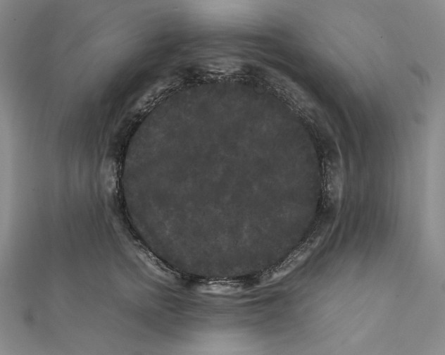 X0000112070758200908251042