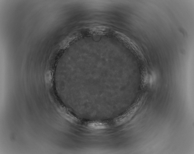 X0000112070759200908251042