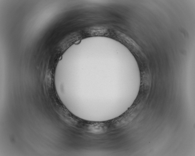X0000112070761200908251042