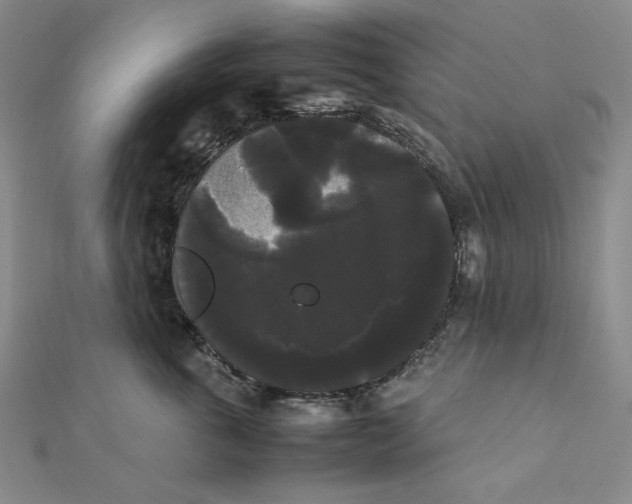 X0000112070763200908251042