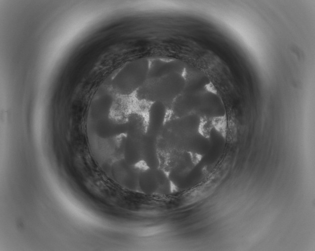 X0000112070765200908251042