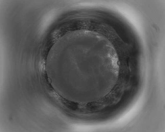 X0000112070766200908251042